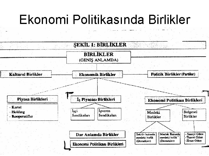 Ekonomi Politikasında Birlikler 