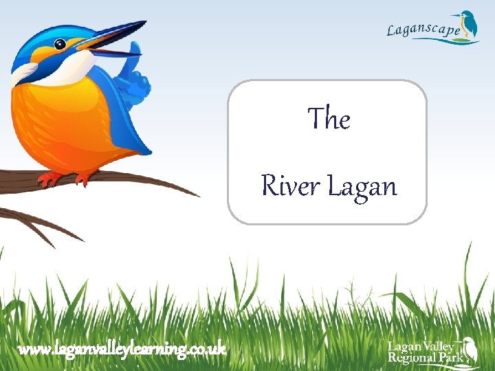 The River Lagan www. laganvalleylearning. co. uk 