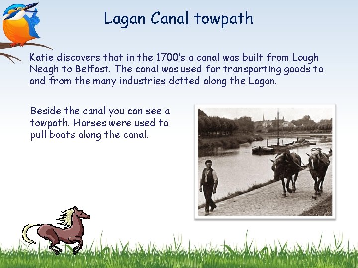 Lagan Canal towpath Katie discovers that in the 1700’s a canal was built from