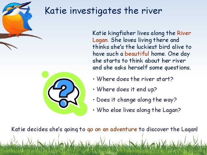 Katie investigates the river Katie kingfisher lives along the River Lagan. She loves living
