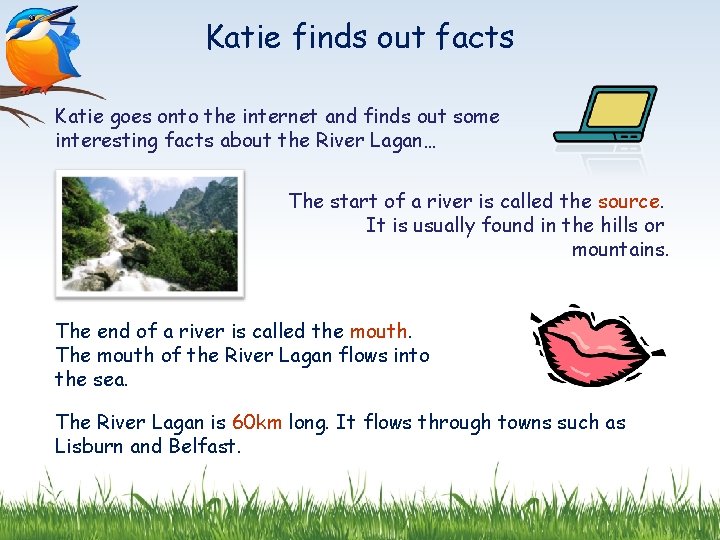 Katie finds out facts Katie goes onto the internet and finds out some interesting