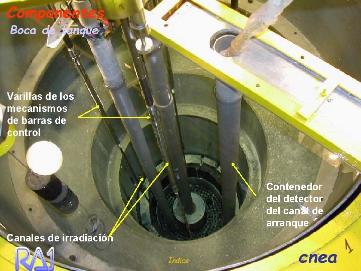 Componentes Boca de tanque Varillas de los mecanismos de barras de control Contenedor del
