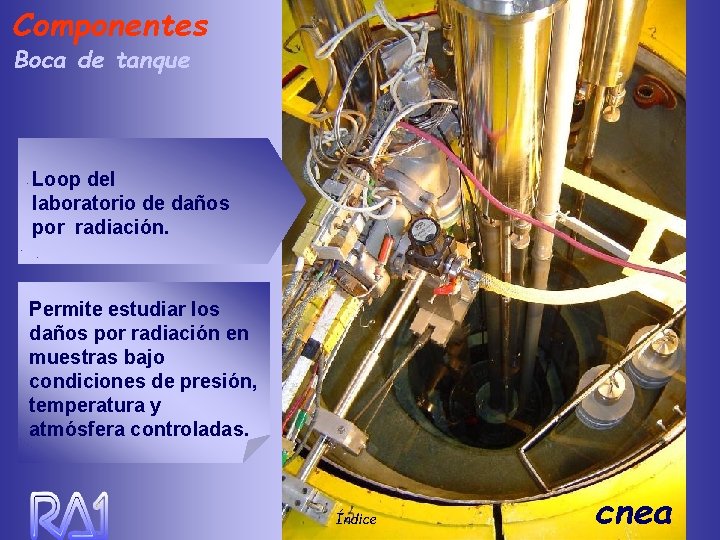 Componentes Boca de tanque Loop del laboratorio de daños por radiación. Permite estudiar los