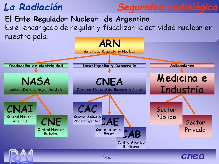 La Radiación Seguridad radiológica El Ente Regulador Nuclear de Argentina Es el encargado de