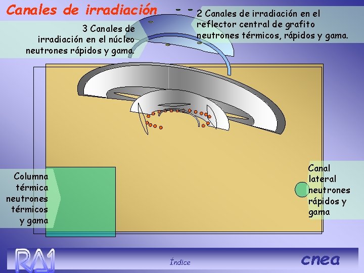 Canales de irradiación 2 Canales de irradiación en el reflector central de grafito neutrones