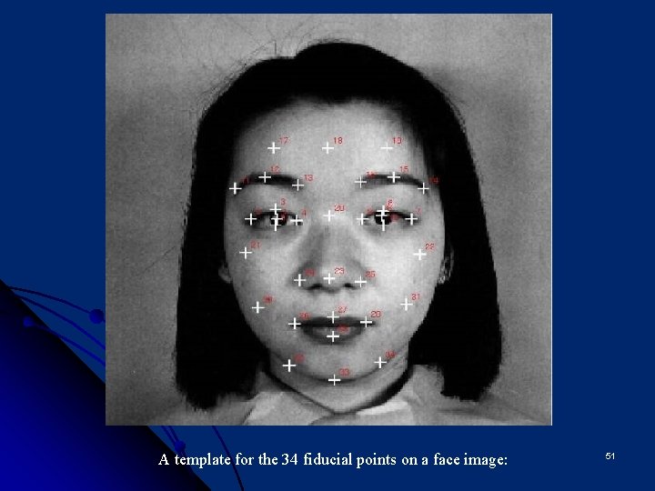 A template for the 34 fiducial points on a face image: 51 