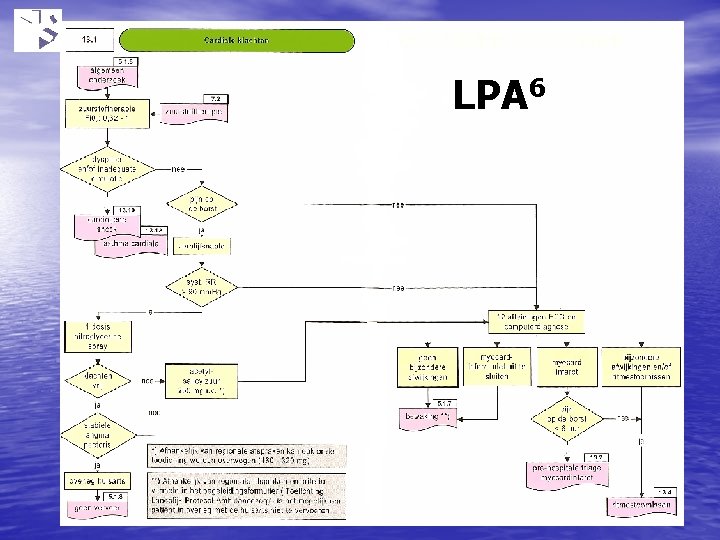 LPA 6 