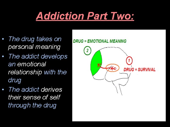 Addiction Part Two: • The drug takes on personal meaning • The addict develops