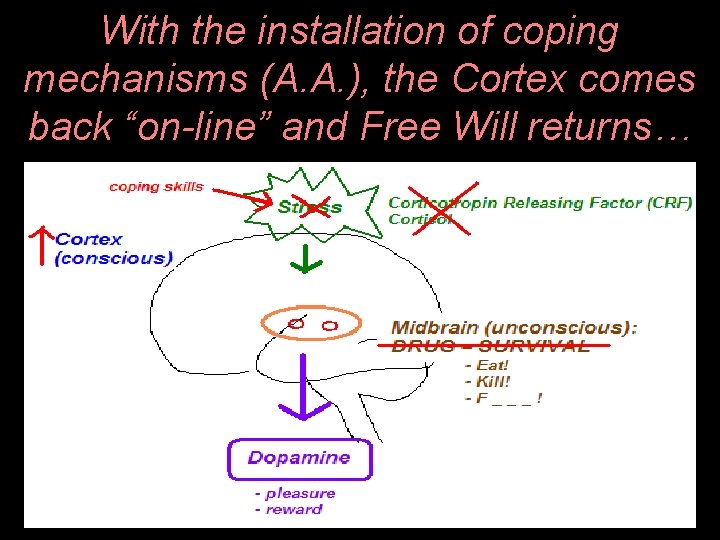 With the installation of coping mechanisms (A. A. ), the Cortex comes back “on-line”
