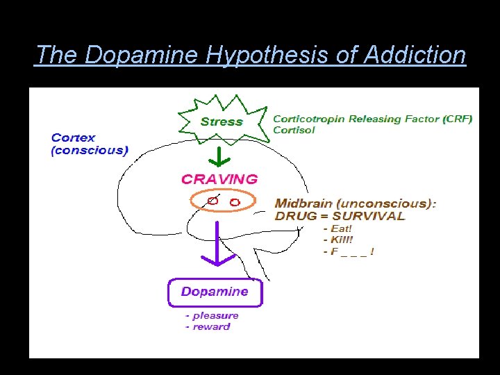 The Dopamine Hypothesis of Addiction 