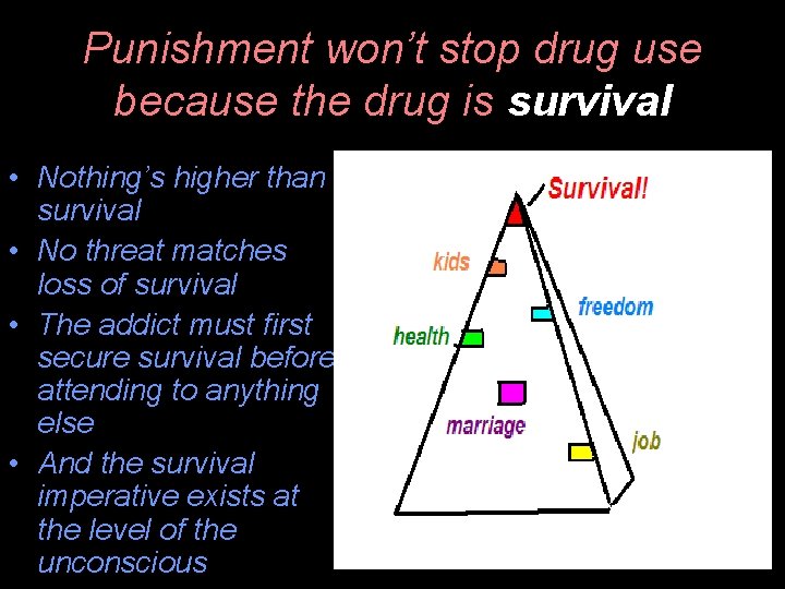 Punishment won’t stop drug use because the drug is survival • Nothing’s higher than