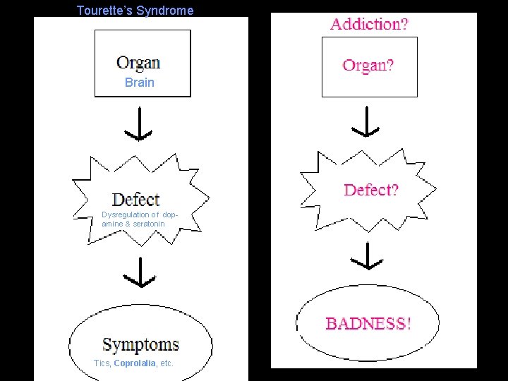 Tourette’s Syndrome Brain Dysregulation of dopamine & seratonin Tics, Coprolalia, etc. 