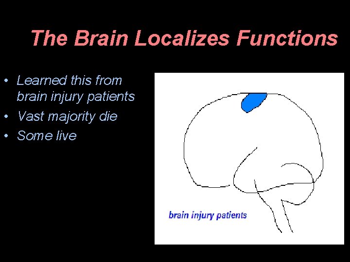 The Brain Localizes Functions • Learned this from brain injury patients • Vast majority