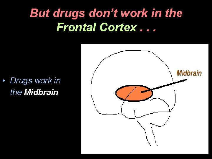 But drugs don’t work in the Frontal Cortex. . . • Drugs work in