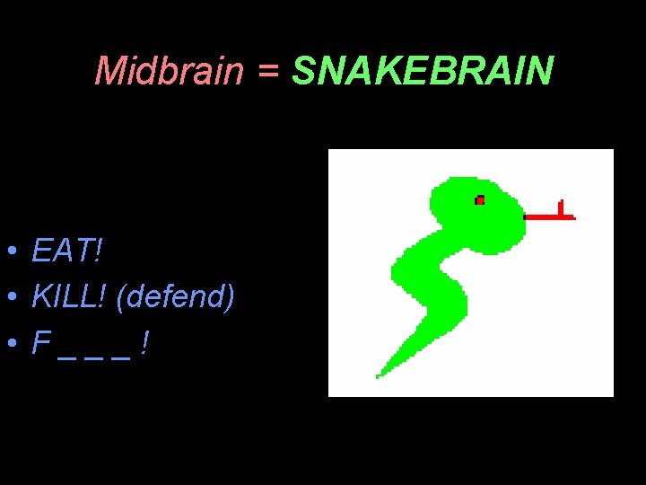Midbrain = SNAKEBRAIN • EAT! • KILL! (defend) • F___! 