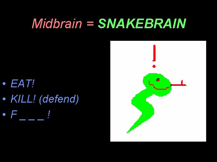 Midbrain = SNAKEBRAIN • EAT! • KILL! (defend) • F___! 