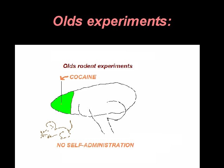 Olds experiments: 