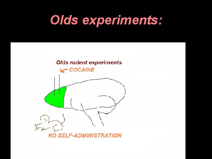 Olds experiments: 