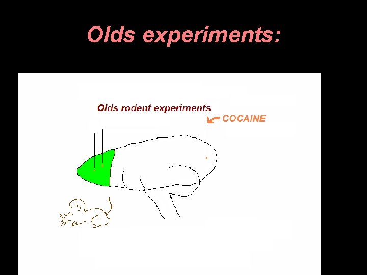 Olds experiments: 