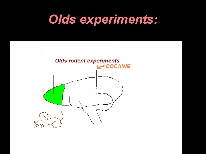 Olds experiments: 