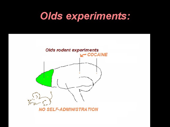Olds experiments: 
