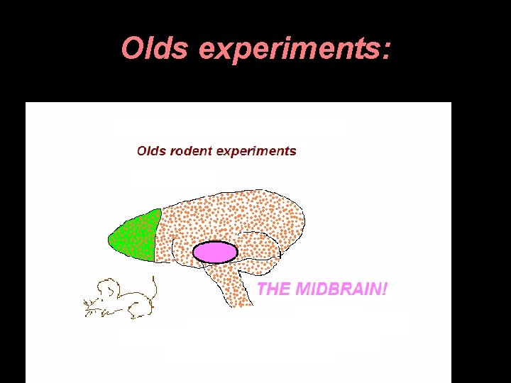 Olds experiments: 