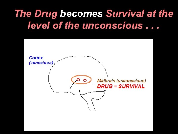 The Drug becomes Survival at the level of the unconscious. . . 