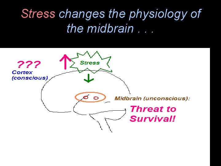 Stress changes the physiology of the midbrain. . . 