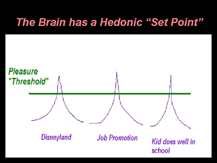 The Brain has a Hedonic “Set Point” 
