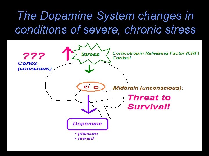 The Dopamine System changes in conditions of severe, chronic stress 