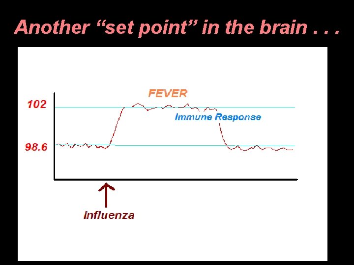 Another “set point” in the brain. . . 