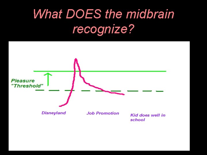 What DOES the midbrain recognize? 