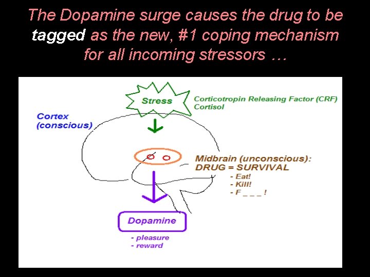 The Dopamine surge causes the drug to be tagged as the new, #1 coping