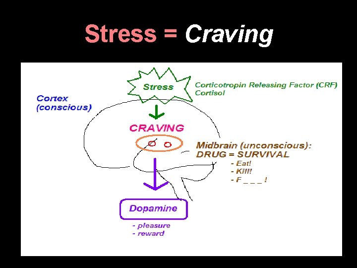 Stress = Craving 