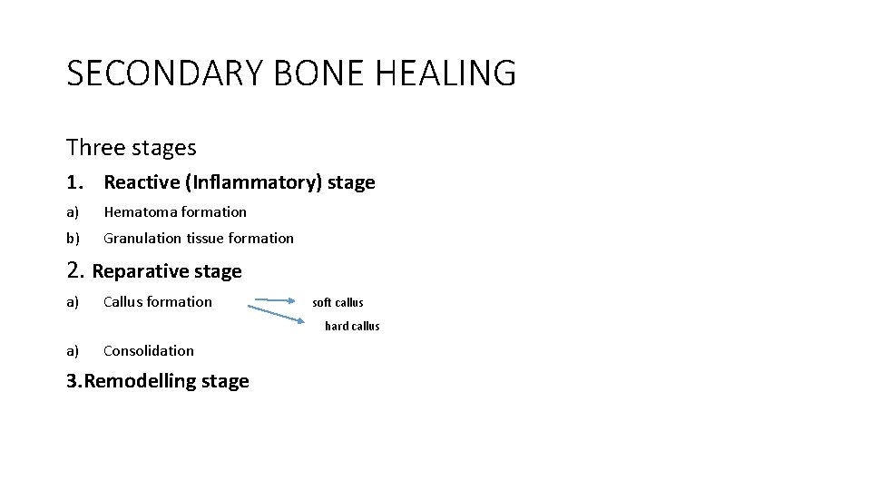 SECONDARY BONE HEALING Three stages 1. Reactive (Inflammatory) stage a) Hematoma formation b) Granulation SECONDARY BONE HEALING Three stages 1. Reactive (Inflammatory) stage a) Hematoma formation b) Granulation