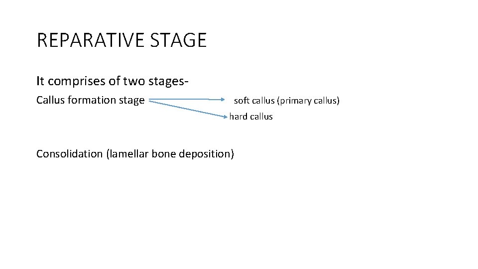 REPARATIVE STAGE It comprises of two stages. Callus formation stage soft callus (primary callus) REPARATIVE STAGE It comprises of two stages. Callus formation stage soft callus (primary callus)