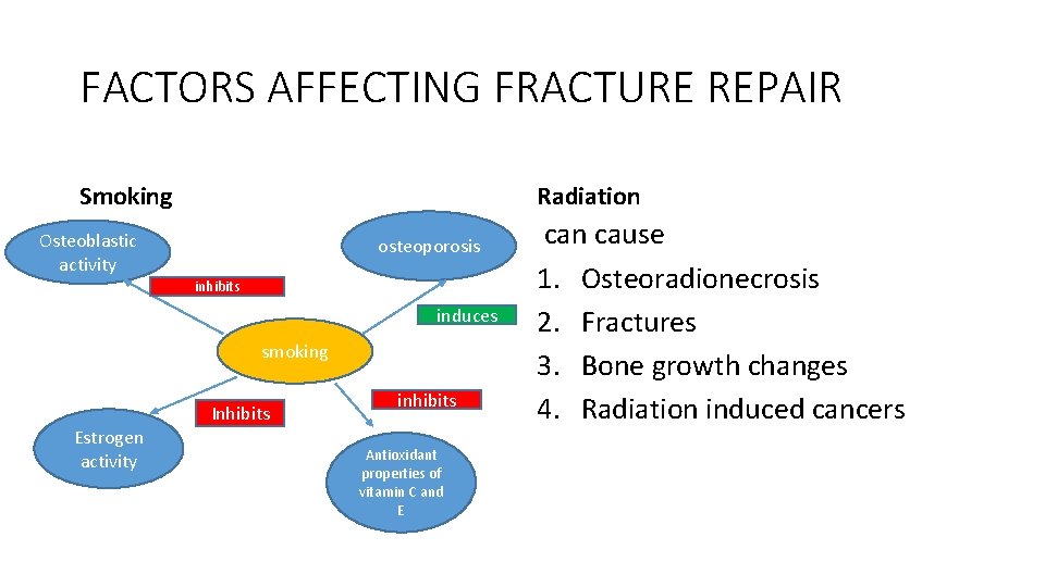 FACTORS AFFECTING FRACTURE REPAIR Smoking Radiation Osteoblastic activity osteoporosis inhibits induces smoking Estrogen activity FACTORS AFFECTING FRACTURE REPAIR Smoking Radiation Osteoblastic activity osteoporosis inhibits induces smoking Estrogen activity