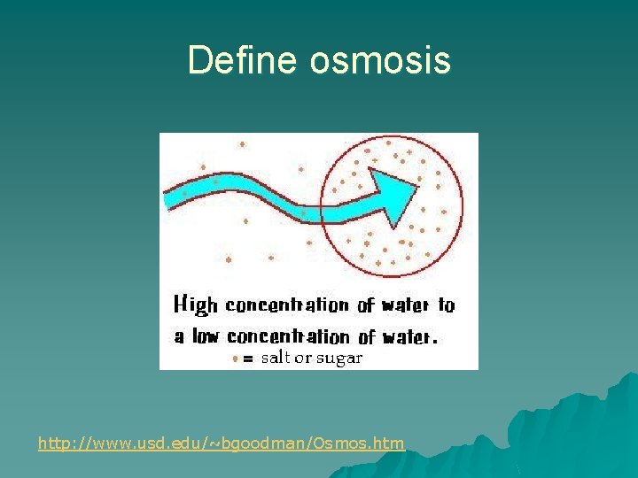Define osmosis http: //www. usd. edu/~bgoodman/Osmos. htm 