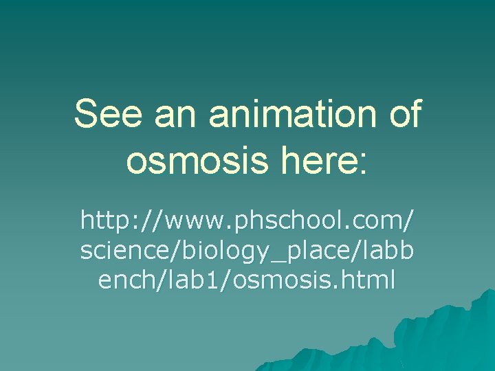 See an animation of osmosis here: http: //www. phschool. com/ science/biology_place/labb ench/lab 1/osmosis. html
