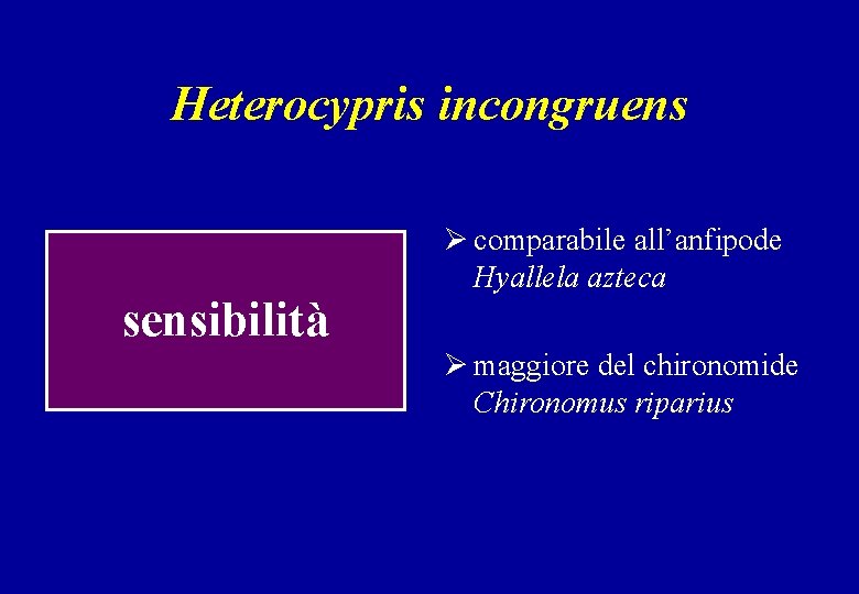 Heterocypris incongruens sensibilità Ø comparabile all’anfipode Hyallela azteca Ø maggiore del chironomide Chironomus riparius