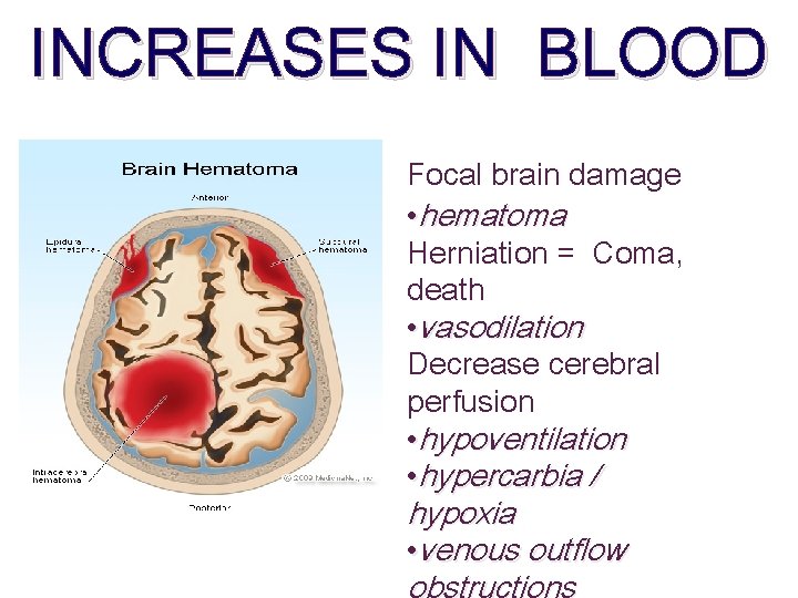 INCREASES IN BLOOD Focal brain damage • hematoma Herniation = Coma, death • vasodilation