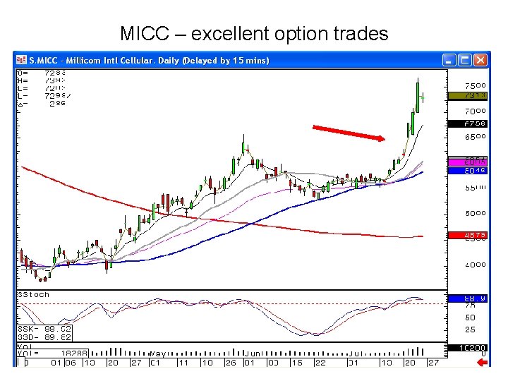 MICC – excellent option trades 