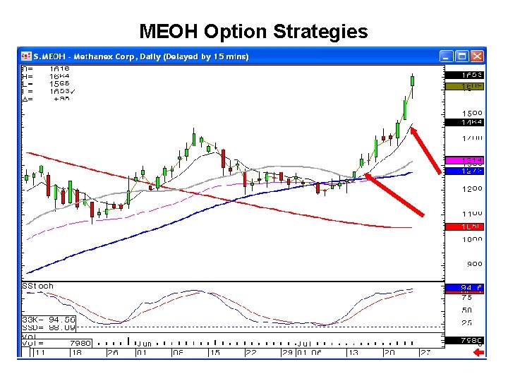 MEOH Option Strategies 