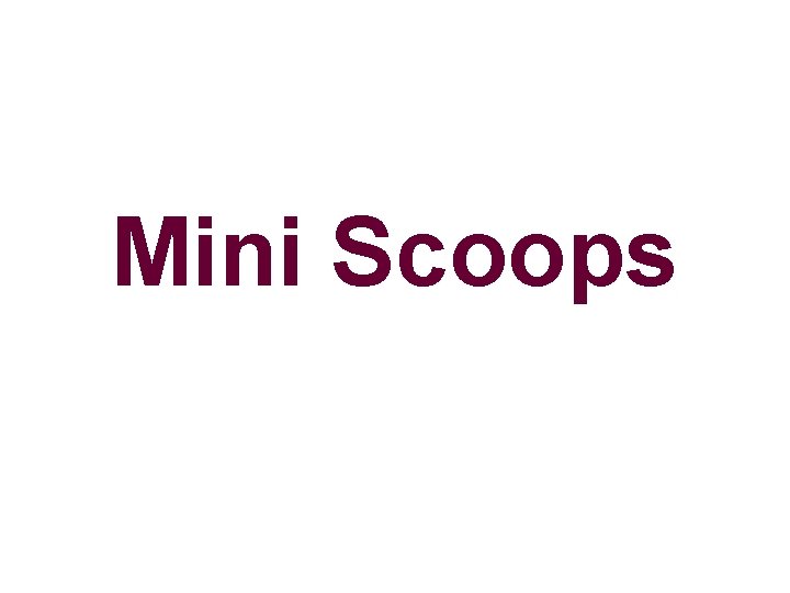 Mini Scoops 