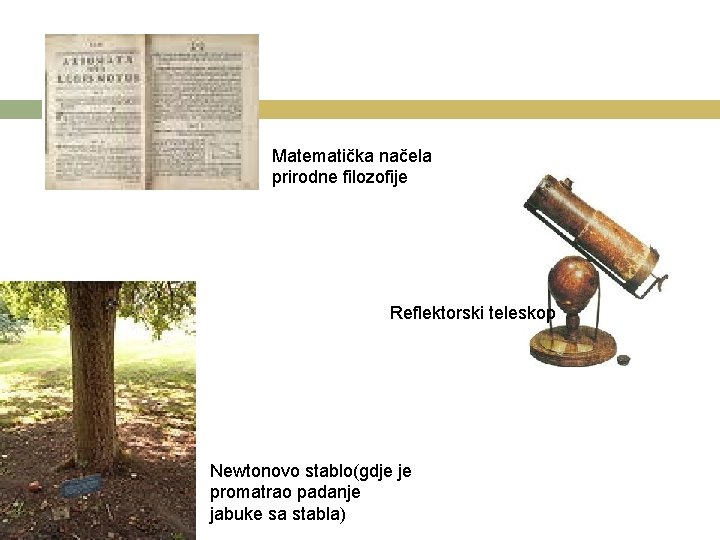Matematička načela prirodne filozofije Reflektorski teleskop Newtonovo stablo(gdje je promatrao padanje jabuke sa stabla)