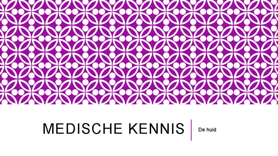 MEDISCHE KENNIS De huid 