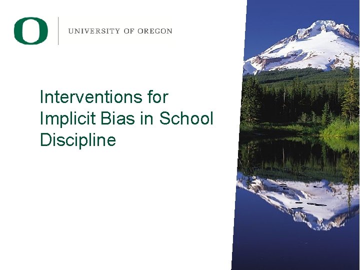 Interventions for Implicit Bias in School Discipline 