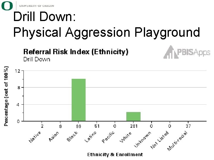 Drill Down: Physical Aggression Playground 