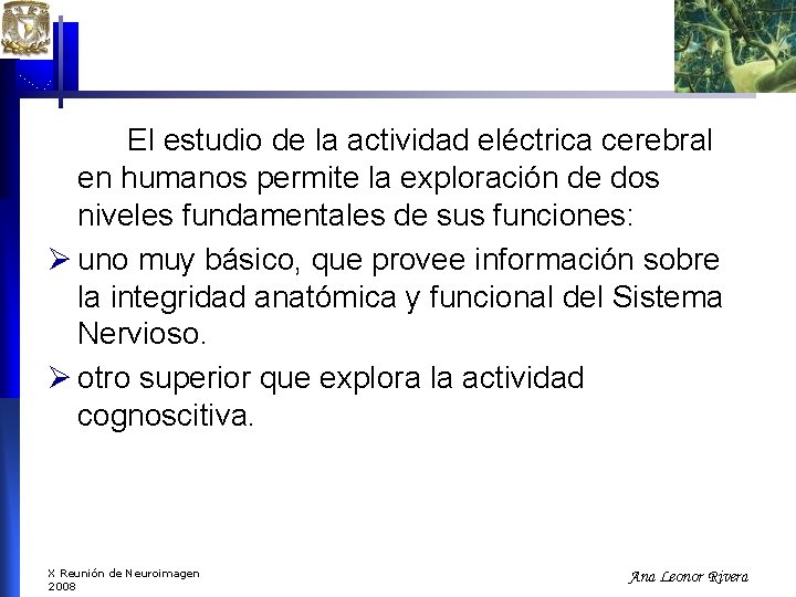 El estudio de la actividad eléctrica cerebral en humanos permite la exploración de dos El estudio de la actividad eléctrica cerebral en humanos permite la exploración de dos