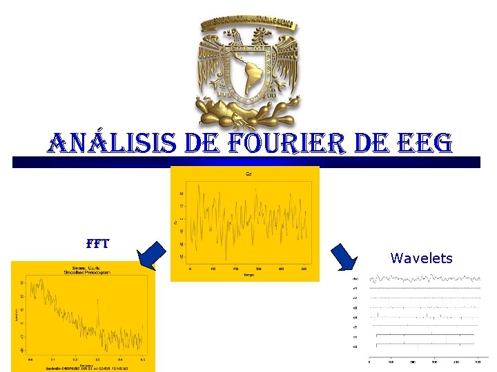 análisis de fourier de eeg fft Wavelets análisis de fourier de eeg fft Wavelets